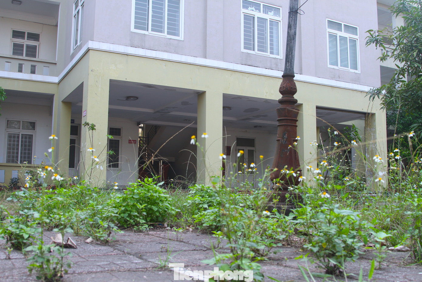 Ông Nguyễn Trung Long - Trưởng phòng Quản lý giá và công sản (Sở Tài chính Nghệ An) cho biết, hiện đơn vị này đang tổng hợp, tiếp nhận hồ sơ xử lý tài sản sau sáp nhập từ các địa phương báo cáo gửi về. Có nhiều phương án xử lý những trụ sở dôi dư này. Trong đó, phần lớn sẽ được giữ lại tiếp tục sử dụng, điều chuyển cho các cơ quan khác sử dụng hoặc bán lấy nguồn xây dựng…