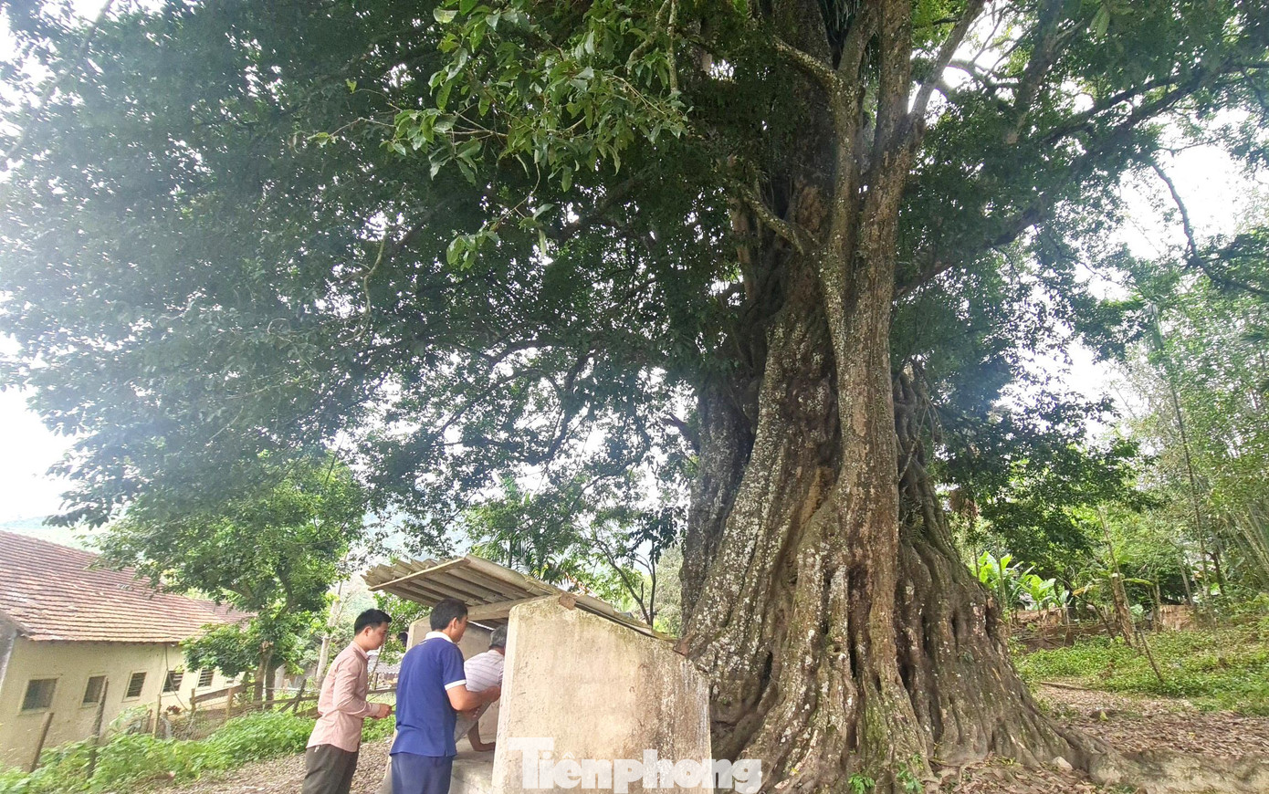 Bên gốc cây người dân xây một miếu thờ nhỏ để thắp hương cầu bình an cho cả dân bản. Theo ông Thái, mỗi năm dân bản thường nghỉ việc nương rẫy trong ngày 20/2 và 15/3 âm lịch để làm lễ cúng. Bên gốc cây người dân xây một miếu thờ nhỏ để thắp hương cầu bình an cho cả dân bản. Theo ông Thái, mỗi năm dân bản thường nghỉ việc nương rẫy trong ngày 20/2 và 15/3 âm lịch để làm lễ cúng.