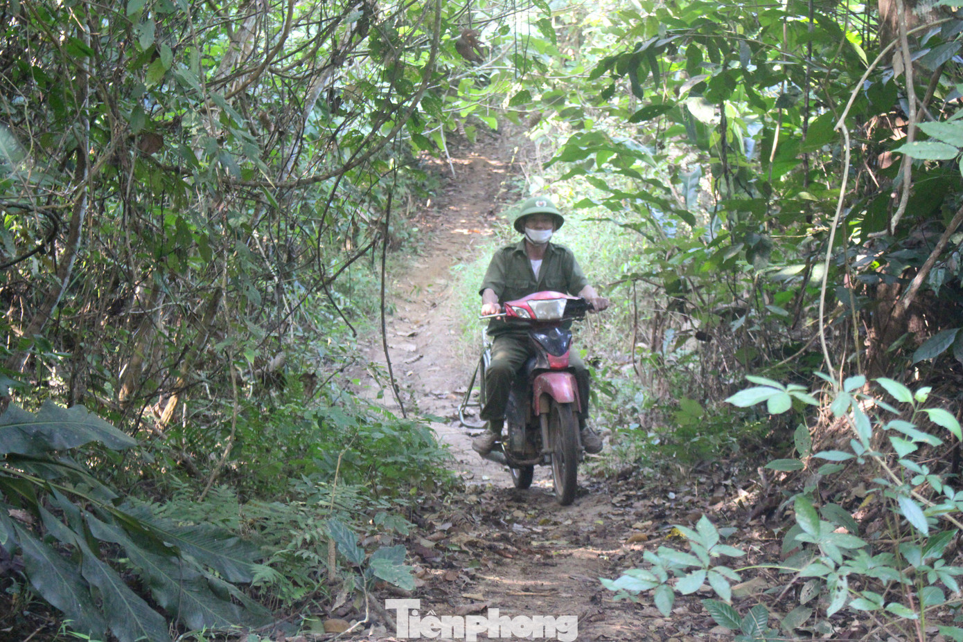 “Trên địa bàn duy nhất có căn hầm này được người dân phát hiện vào năm 1997. Trải qua thời gian dài nhưng căn hầm này vẫn đang nguyên vẹn. Mặc dù hầm nằm giữa rừng già nhưng chúng tôi đã tuyên truyền người dân cùng chung tay bảo vệ, đồng thời khuyến khích quảng bá trên các kênh để mọi người biết nhiều hơn”, ông Đoàn Văn Huấn - Chủ tịch UBND xã Nghĩa Mai cho biết.