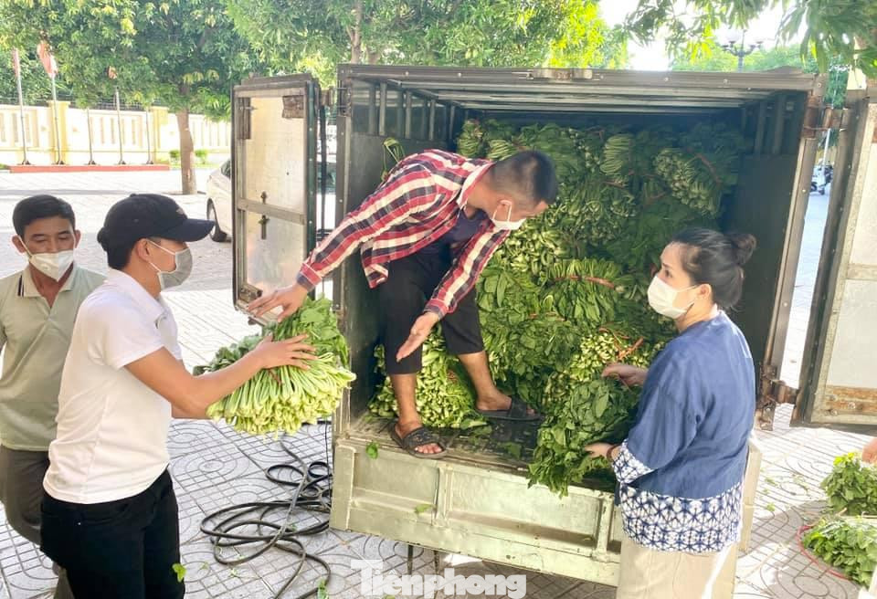 Số rau trên được những người làm báo trao cho các hộ dân ở phường Bến Thủy, thành phố Vinh (Nghệ An). Số rau trên được những người làm báo trao cho các hộ dân ở phường Bến Thủy, thành phố Vinh (Nghệ An).