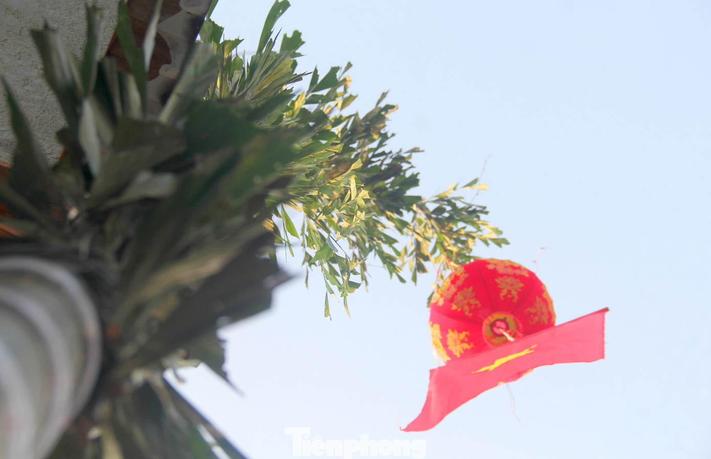 Trên thân cây nêu, người dân thường trang trí thêm ngôi sao, lồng chim, bánh chưng… Đặc biệt, nhiều cây nêu còn được bọc bao quanh bằng lá cây đủng đỉnh. Ngoài làm đẹp, theo người dân, cây đủng đỉnh cũng là loài xua đuổi tà ma.