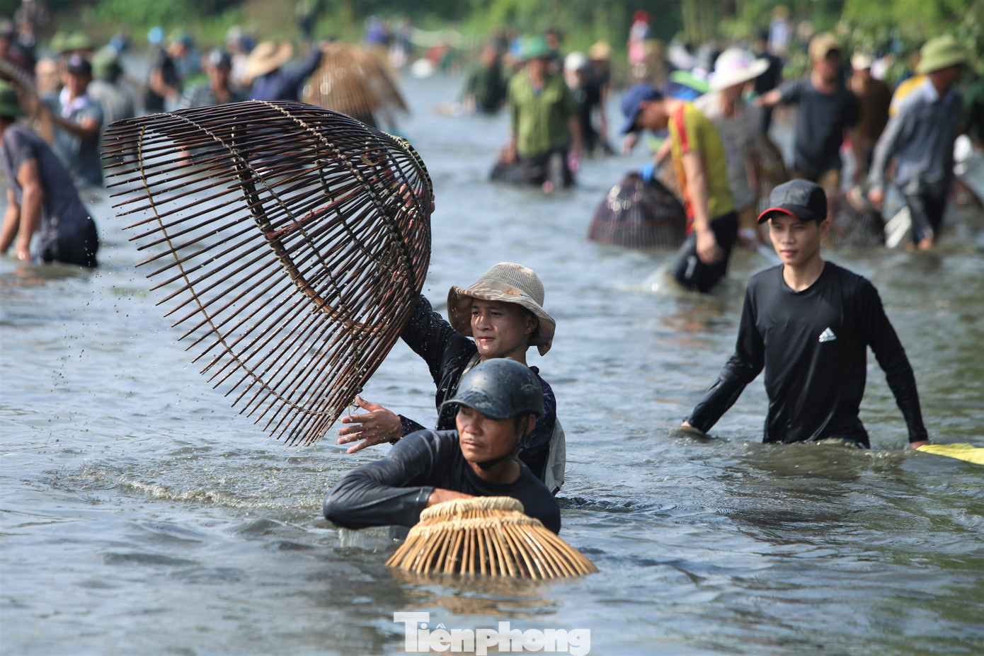 Trong khi nhiều thanh niên ra giữa hồ đuổi bắt cá lớn, các cụ ông lớn tuổi lại đi sát bờ để đón cá vào.