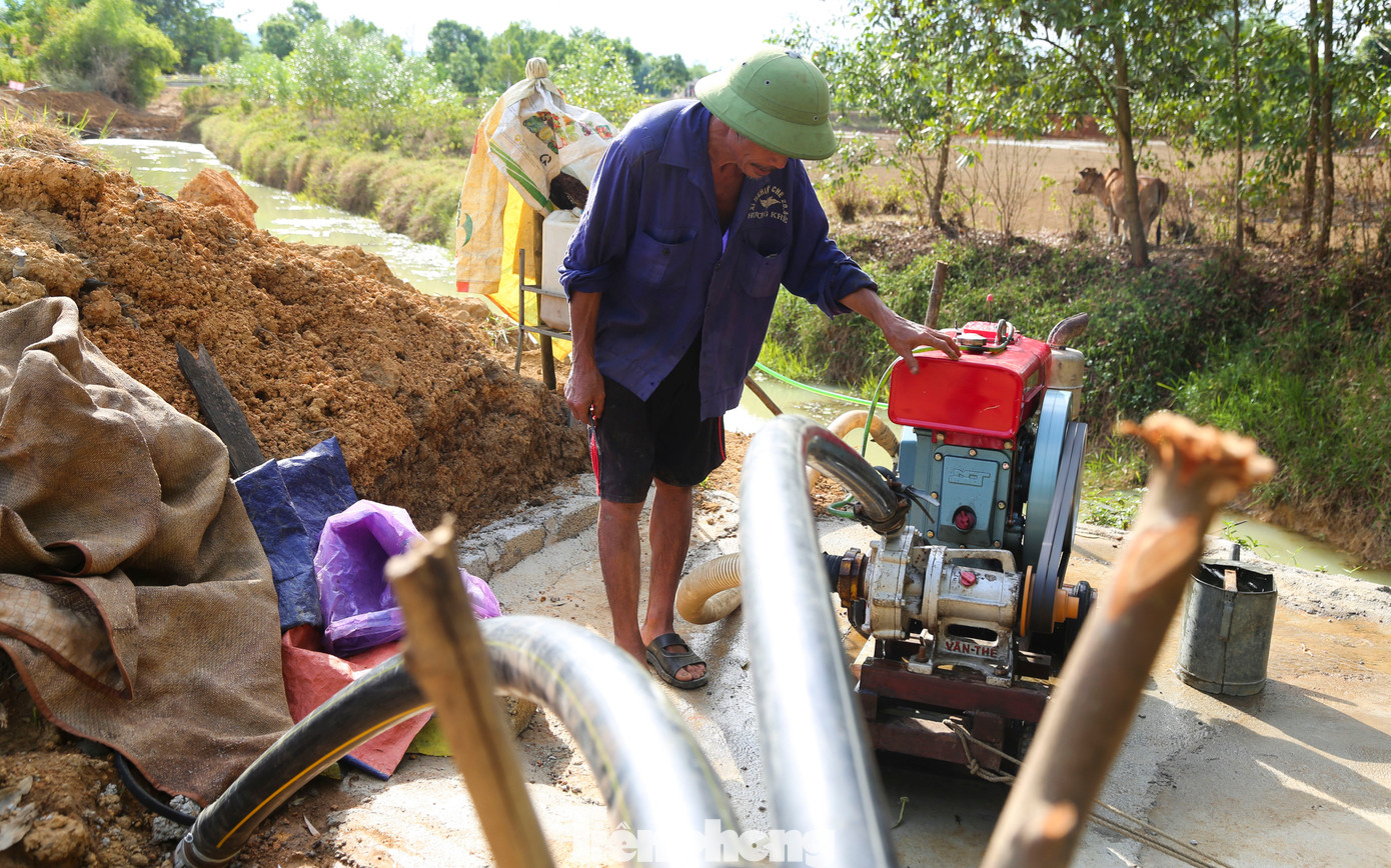 Người dân phải đặt các máy công suất lớn, mua sắm hệ thống đường ống tưới cho các đồi chè.