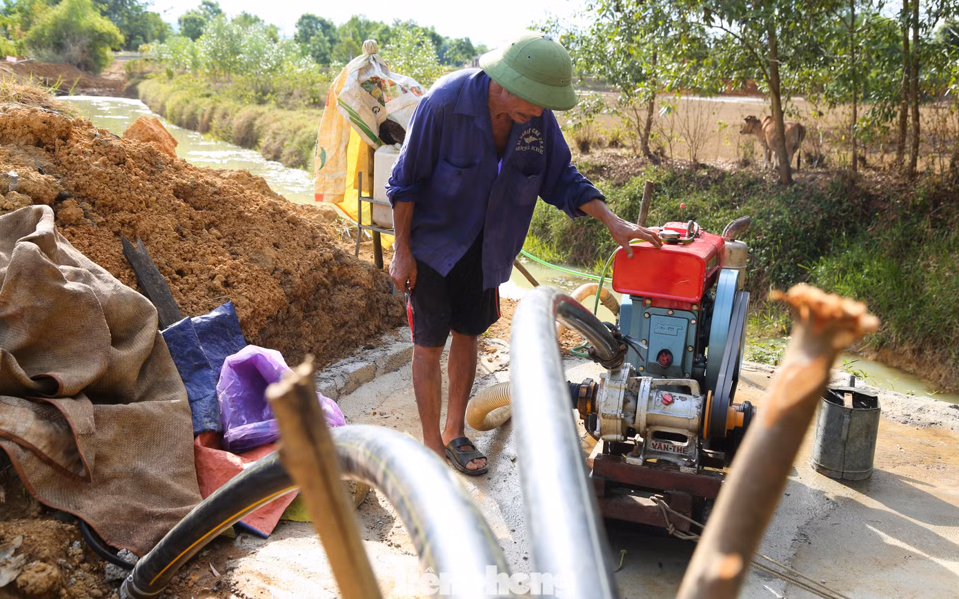 Người dân phải đặt các máy công suất lớn, mua sắm hệ thống đường ống tưới cho các đồi chè.