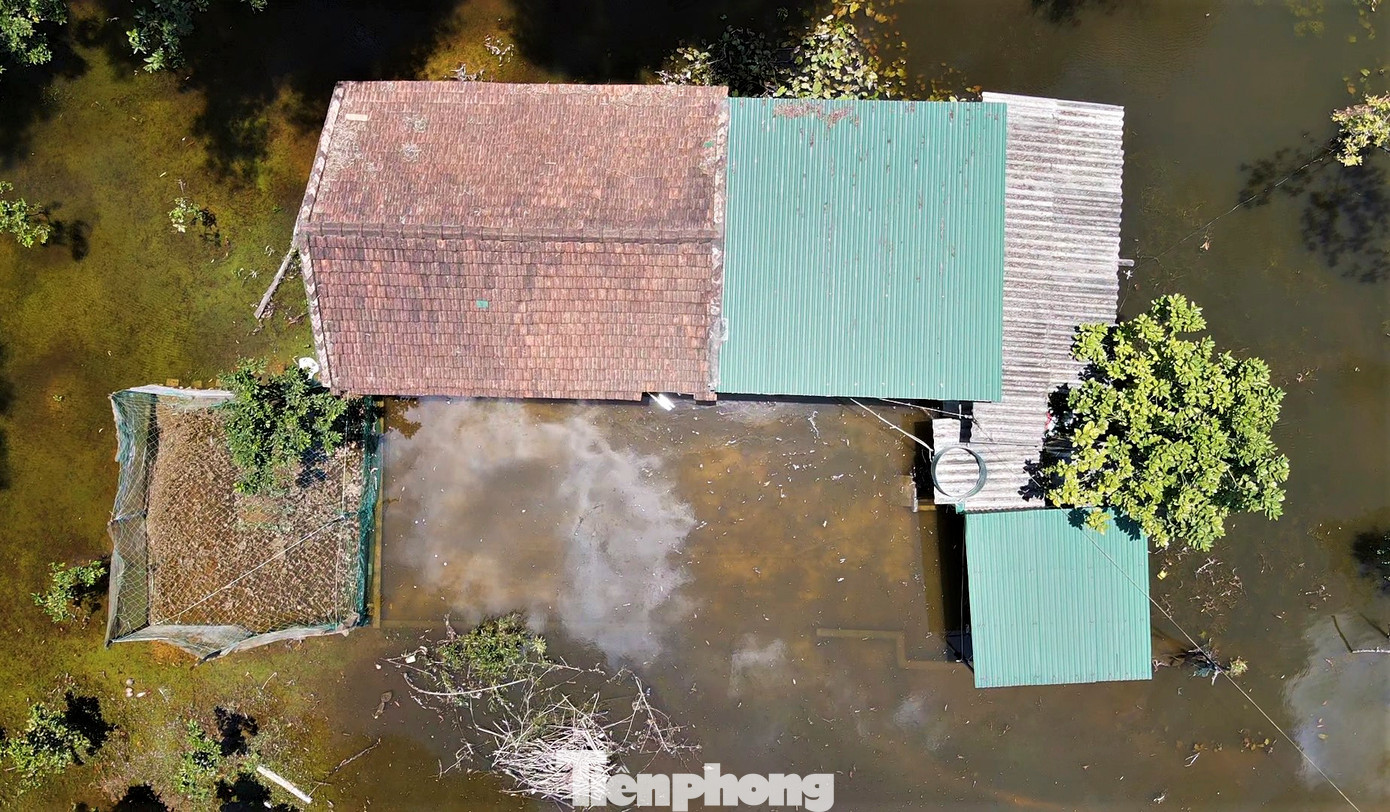 Ngập cục bộ khiến nhà các hộ dân bị nước bao quanh.