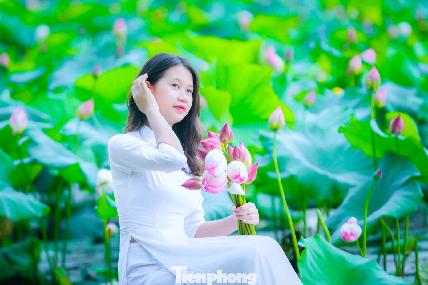 Những ngày qua, rất nhiều du khách, người dân đã tìm về các đầm sen ở các xã của huyện Con Cuông để chụp hình lưu lại khoảnh khắc đẹp mùa sen.