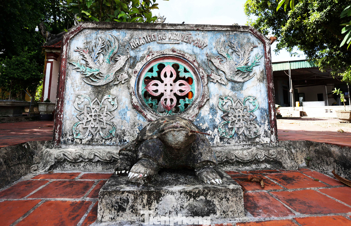 Trong quá trình xây dựng và phát triển, làng Trường Lưu đã tạo dựng nên hệ thống di sản văn hóa đặc sắc. Trong ảnh là nhà thờ họ Nguyễn Huy ở làng Trường Lưu. Trong quá trình xây dựng và phát triển, làng Trường Lưu đã tạo dựng nên hệ thống di sản văn hóa đặc sắc. Trong ảnh là nhà thờ họ Nguyễn Huy ở làng Trường Lưu.