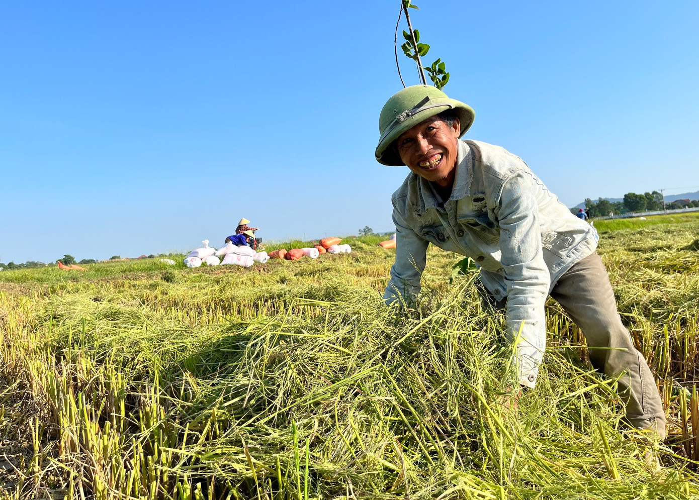 Niềm vui của người nông dân khi được thu hoạch thành quả sau những tháng ngày vất vả ruộng đồng.
