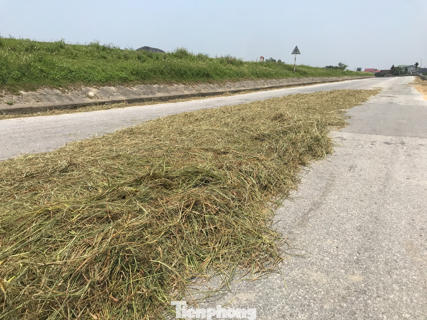 Không chỉ phơi lúa, người dân còn lấy đường làm sân phơi rơm rạ. Việc phơi rơm rạ rất nguy hiểm bởi khi chiếc xe ô tô đi qua dễ bị rơm quấn vào gầm và gây cháy xe. Thời gian qua đã có rất nhiều vụ việc tương tự xảy ra gây thiệt hại rất lớn.