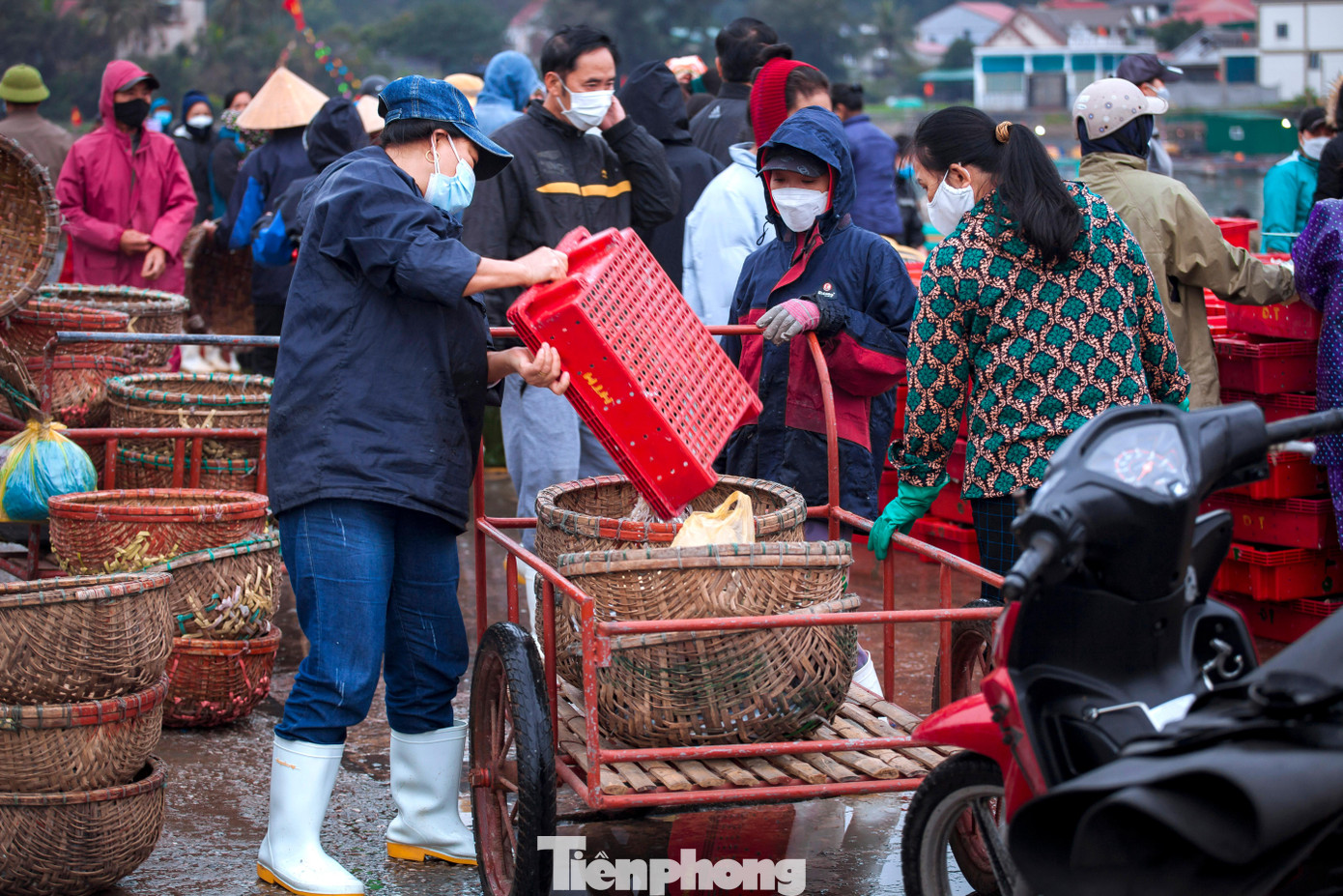 “Chuyến biển đầu năm, với ngư dân chúng tôi không đặt nặng vấn đề sản lượng đánh bắt, chỉ mong chuyến ra khơi diễn ra thuận lợi, tàu thuyền ra khơi vào lộng được an toàn. Bởi vậy nên tôi chỉ đi ra cửa biển, khoảng chừng 5 hải lý, thả mẻ lưới lấy may rồi trở về”, anh Phạm Xuân Phượng (trú xã Diễn Ngọc, huyện Diễn Châu) cho biết.