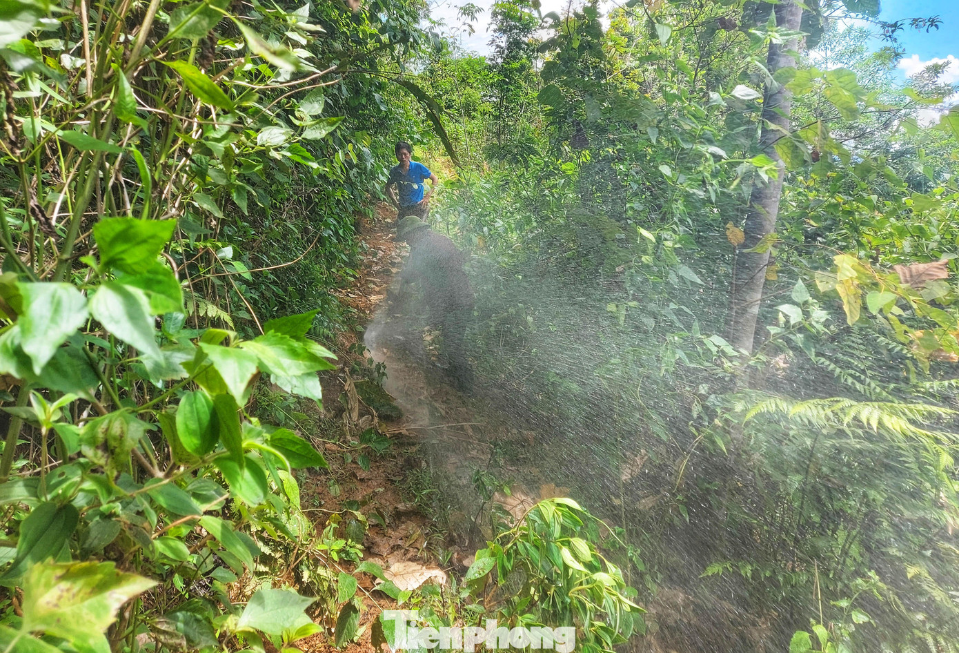 Thầy Nguyễn Ngọc Lâm, giáo viên Phổ thông DTBT TH&THCS Nậm Càn cho biết, nước sạch ở trường được lấy từ một con suối cách trường 5km. Sau thời gian nghỉ hè, đường ống bị hư hỏng, tắc nghẽn nên nước không chảy về. Thầy Nguyễn Ngọc Lâm, giáo viên Phổ thông DTBT TH&THCS Nậm Càn cho biết, nước sạch ở trường được lấy từ một con suối cách trường 5km. Sau thời gian nghỉ hè, đường ống bị hư hỏng, tắc nghẽn nên nước không chảy về.