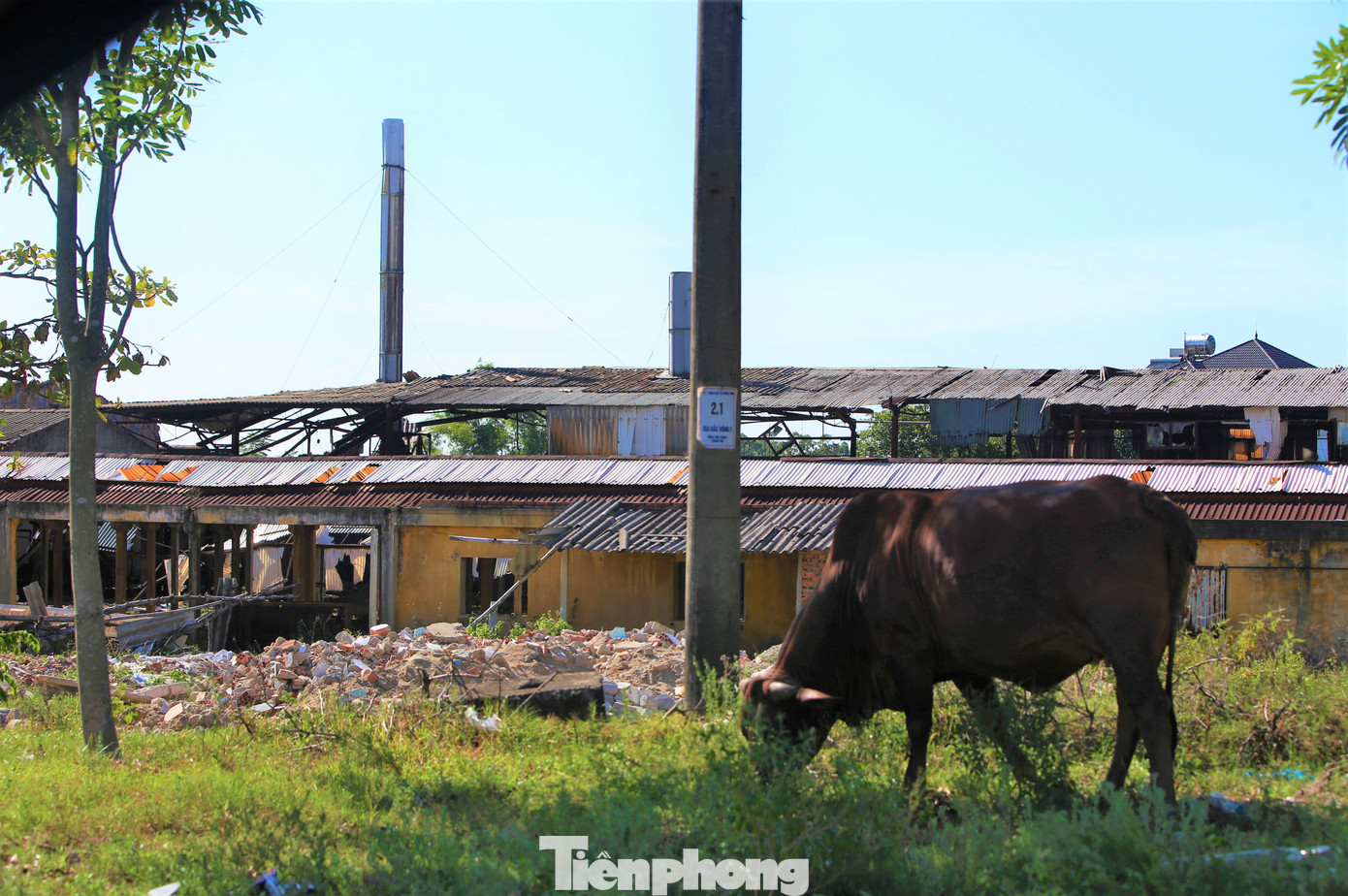 Vị trí khu đất cũ của Xí nghiệp Gạch Trung Đô Hồng Lĩnh nằm ở ngã ba đường Võ Nguyên Giáp và đường Nguyễn Ái Quốc nay thành nơi đổ rác, chăn bò. Lãnh đạo địa phương cho biết các khu đất nằm ở vị trí trung tâm nhưng nhếch nhác không chỉ gây mất mỹ quan đô thị và ảnh hưởng rất lớn đến môi trường. Địa phương mong muốn các nhà đầu tư xây dựng các công trình mới để tạo điểm nhấn song chưa thực hiện được. Vị trí khu đất cũ của Xí nghiệp Gạch Trung Đô Hồng Lĩnh nằm ở ngã ba đường Võ Nguyên Giáp và đường Nguyễn Ái Quốc nay thành nơi đổ rác, chăn bò. Lãnh đạo địa phương cho biết các khu đất nằm ở vị trí trung tâm nhưng nhếch nhác không chỉ gây mất mỹ quan đô thị và ảnh hưởng rất lớn đến môi trường. Địa phương mong muốn các nhà đầu tư xây dựng các công trình mới để tạo điểm nhấn song chưa thực hiện được.