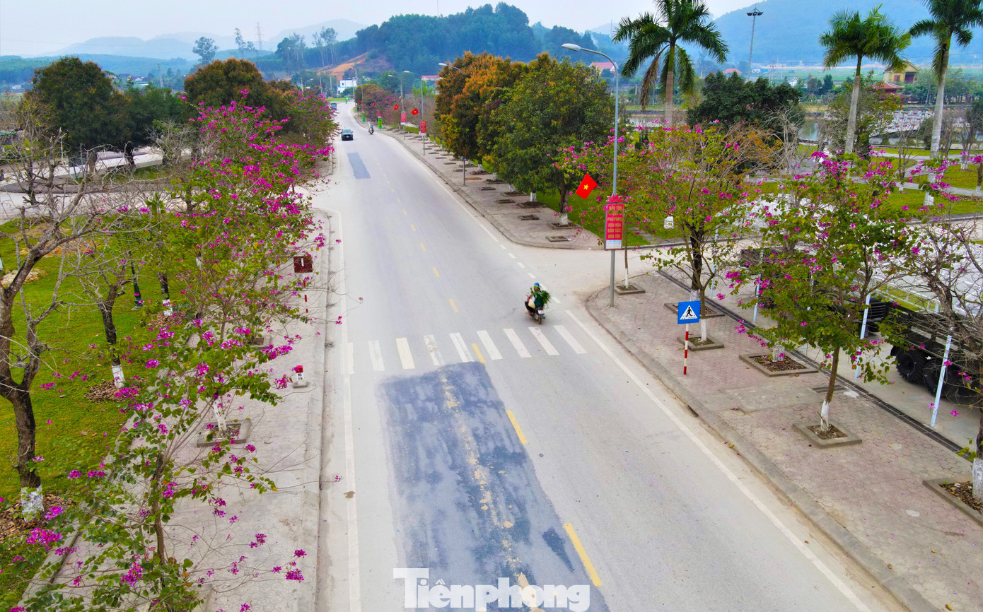 Đầu tháng 3/2023, những con đường ở Khu di tích lịch sử Quốc gia Truông Bồn (xã Mỹ Sơn, huyện Đô Lương, Nghệ An) khoác lên một màu sắc tím rực rỡ của hoa ban khiến mỗi người khi qua đây đều phải nán lại để ngắm nhìn.