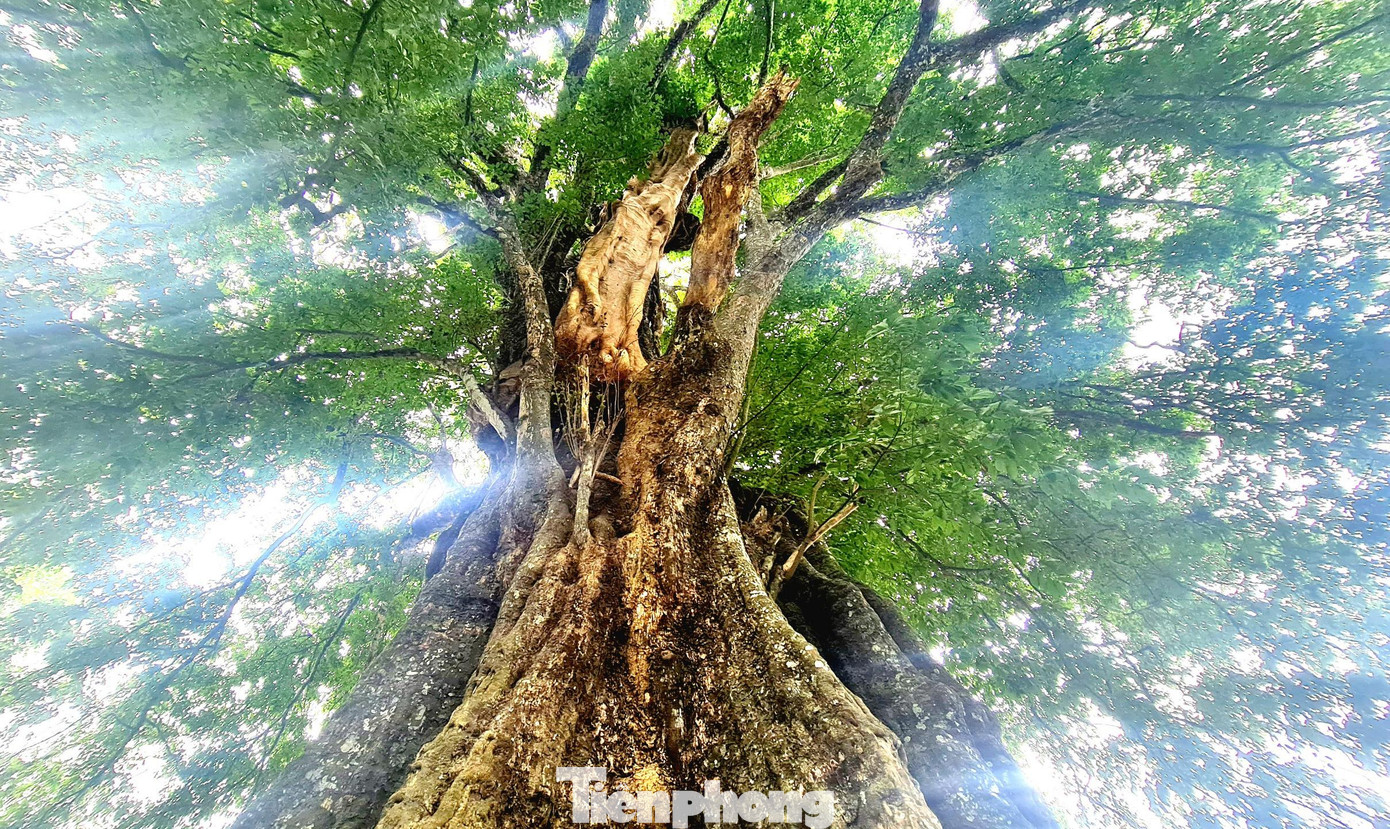 Sau khi làm lễ, bà con tập trung về nhà người đứng đầu bản mở hội rượu cần. Phần hội trong ngày lễ của người dân bản Nật Trên thường diễn ra dưới tán cây thị cổ thụ. Sau khi làm lễ, bà con tập trung về nhà người đứng đầu bản mở hội rượu cần. Phần hội trong ngày lễ của người dân bản Nật Trên thường diễn ra dưới tán cây thị cổ thụ.