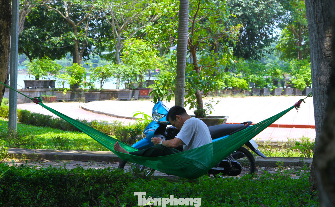 Người nằm dưới bóng cây để nghỉ ngơi, người thì nằm ngủ để chuẩn bị cho một buổi chiều làm việc.