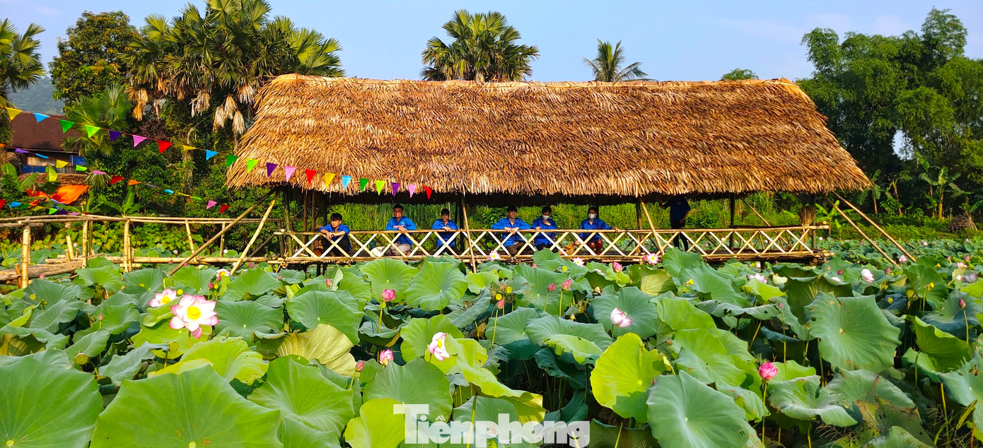 Ở đầm sen và điểm check in, các đoàn viên cũng kết hợp làm dịch vụ ăn uống phục vụ du khách.