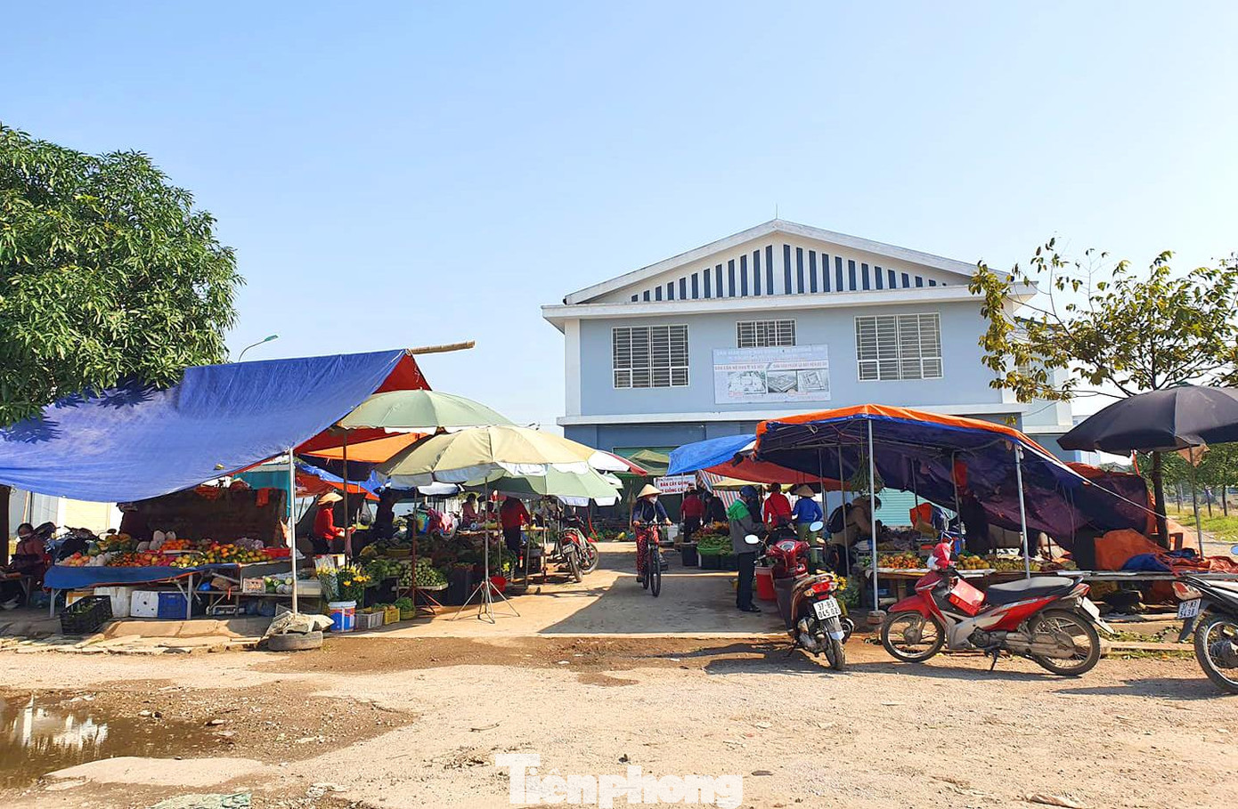 Trong khi chợ đóng kín cửa, một số người lại căng lều bạt bán hàng phía trước cổng chợ. Ông Nguyễn Văn Khiêm - Chủ tịch UBND xã Nghi Kim cho biết, người dân lâu nay vẫn quen đi chợ các xã lân cận hoặc mua bán ở một số địa điểm tự phát. Để chợ có thể đi vào hoạt động thì cần phải dẹp bỏ các điểm tự phát này, đặc biệt là chợ cóc quy tụ một số lượng rất lớn người mua bán ngay trước khu công nghiệp Bắc Vinh.