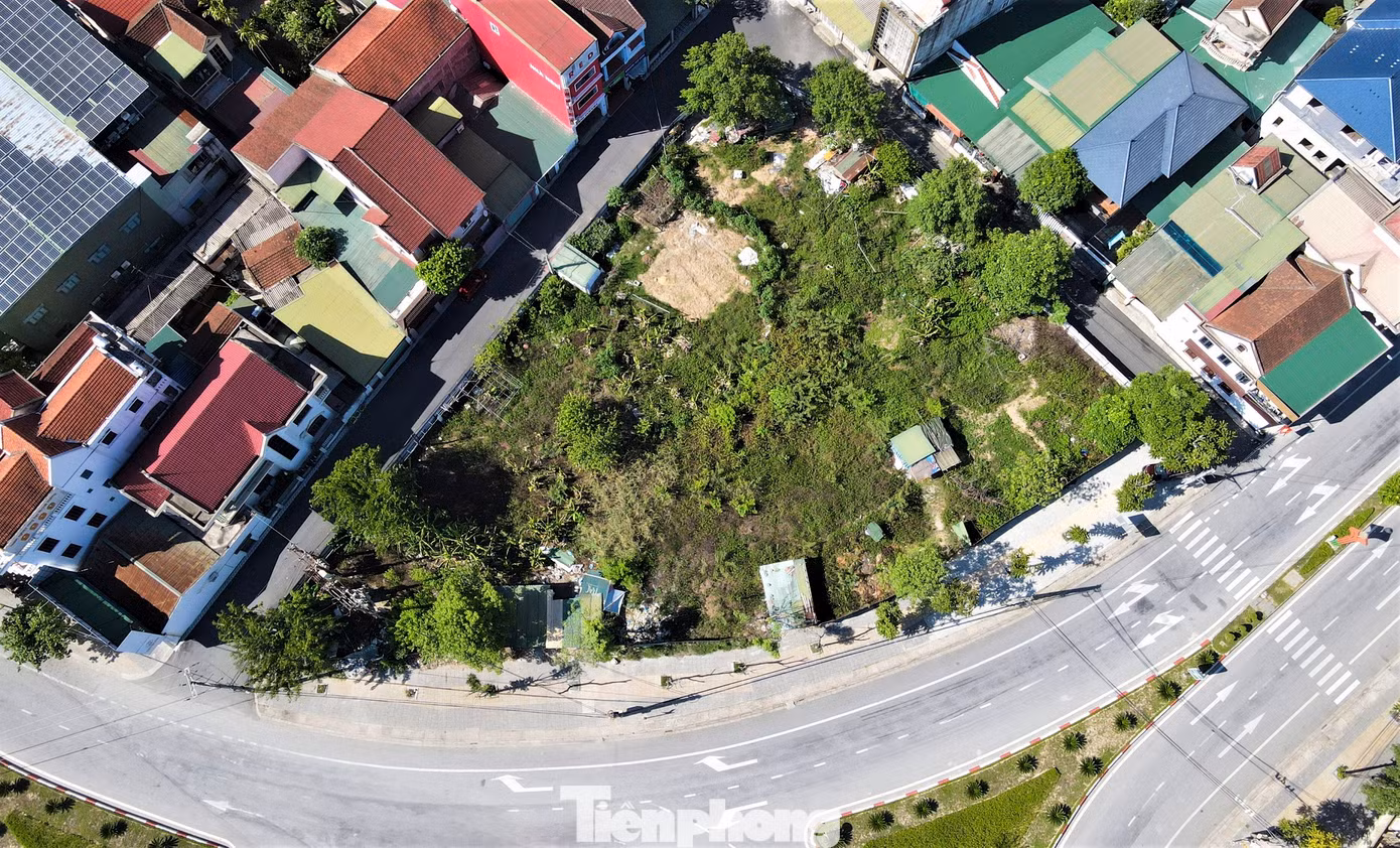 Đối diện khu chợ cũ thị xã Hồng Lĩnh còn có một khu đất khác cũng bỏ hoang, quây kín tôn, cỏ cây um tùm.