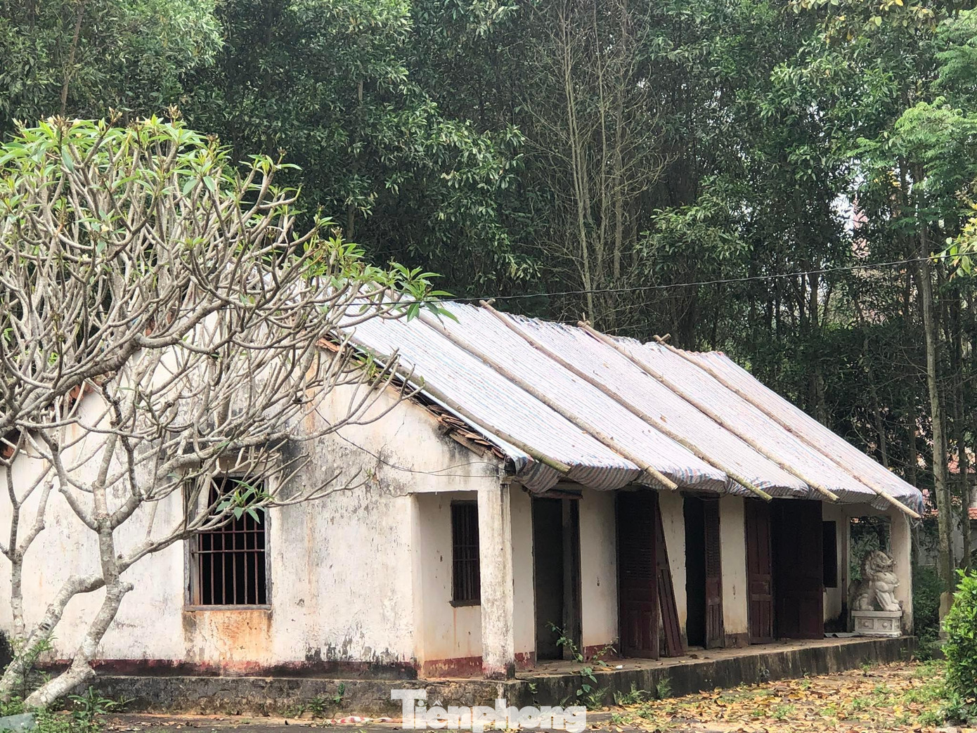 Thời gian qua, để gìn giữ và sử dụng, chính quyền địa phương đã lợp bạt trùm lên mái nhà Tả vu.