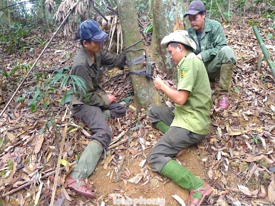Bằng các biện pháp như sử dụng máy bẫy ảnh điều tra, đánh giá động vật tại các vùng phân bố trọng điểm để cung cấp dữ liệu đa dạng sinh học tin cậy, làm cơ sở quảng bá, chứng minh tiềm năng của Vườn Quốc gia Pù Mát. Bằng các biện pháp như sử dụng máy bẫy ảnh điều tra, đánh giá động vật tại các vùng phân bố trọng điểm để cung cấp dữ liệu đa dạng sinh học tin cậy, làm cơ sở quảng bá, chứng minh tiềm năng của Vườn Quốc gia Pù Mát.
