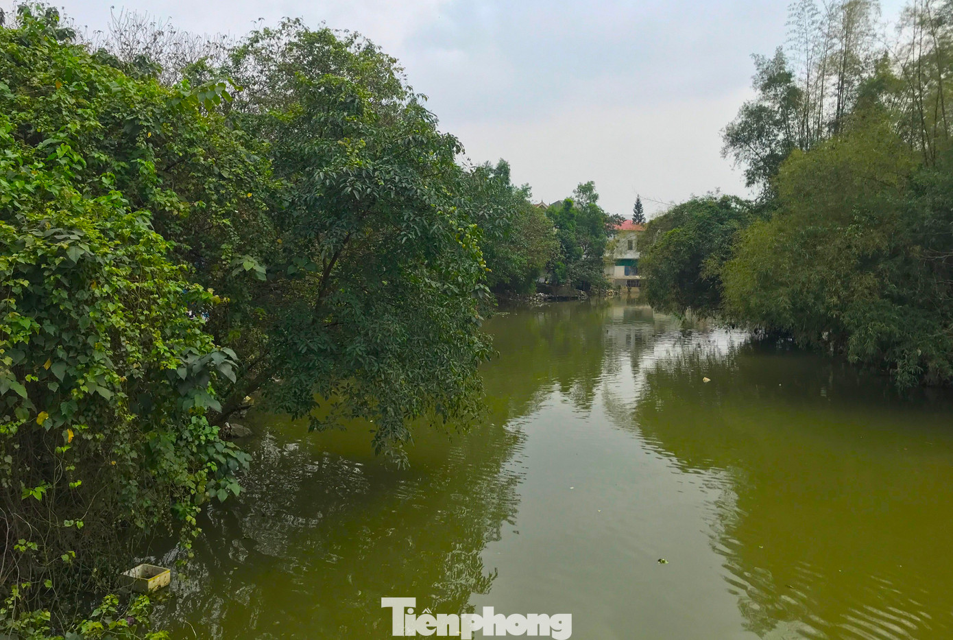 Tới đây, thành phố Vinh sẽ triển khai việc cải tạo toàn bộ bờ kè sông Vinh. Đây là một hợp phần trong dự án “Hạ tầng ưu tiên và phát triển đô thị thích ứng với biến đổi khí hậu thành phố Vinh" vừa được tỉnh Nghệ An phê duyệt. Toàn bộ dự án có tổng mức đầu tư gần 200 triệu USD. Khi thực hiện cải tạo toàn bộ sông Vinh, chắc chắn những hộ dân vạn chài này sẽ phải di chuyển để đơn vị thi công làm dự án. Không biết những chiếc thuyền nhỏ này sẽ tiếp tục trôi về nơi đâu để tiếp tục mưu sinh mỗi ngày.