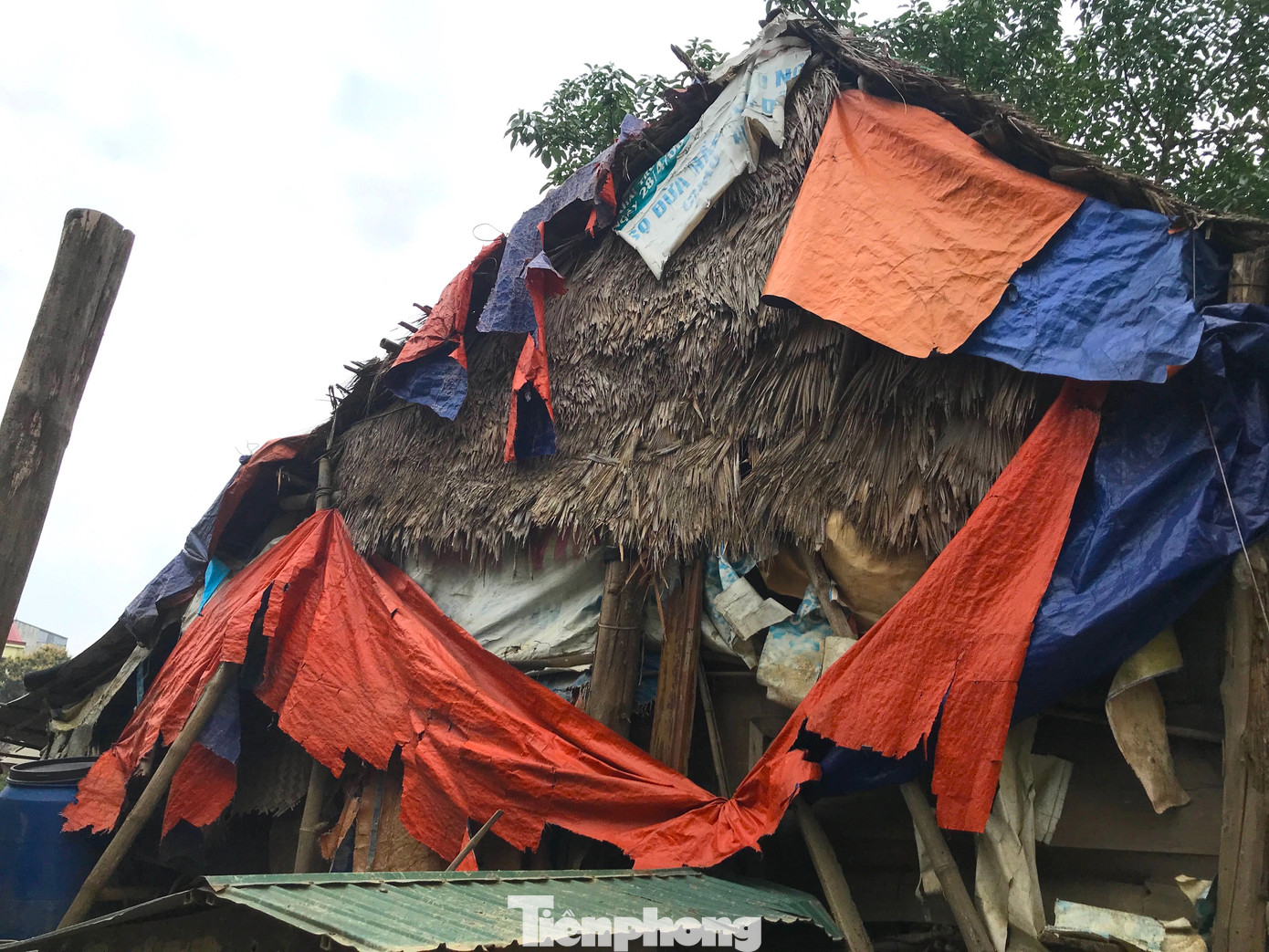 Nhà các hộ dân dựng trên bờ tạm bợ, được chằng vá bởi những tấm bạt đã rách nát.