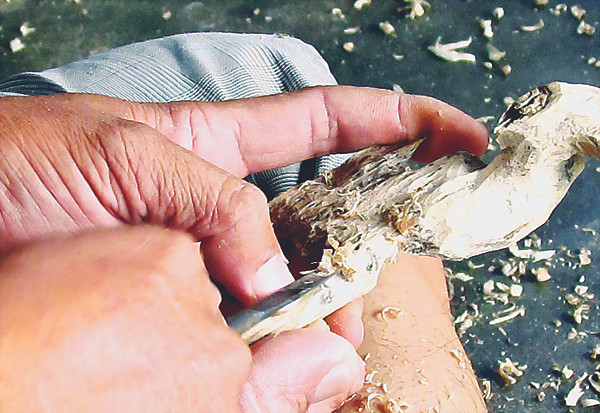 Nhẹ nhàng cẩn thận ngón tay, nếu như không khéo, sẽ bay áo trầm