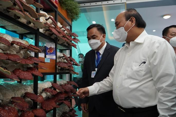 Chủ tịch nước Nguyễn Xuân Phúc thăm mô hình sản xuất nấm bằng công nghệ cao