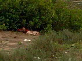  Hiện trường phát hiện thi thể thiếu nữ