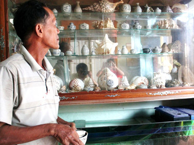 Cổ vật chen lẫn vỏ ốc biển trưng trong tủ của gia đình một ngư dân Gành Cả. Ảnh: Nguyễn Huy
