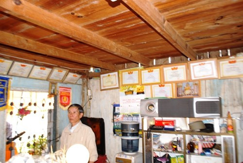  Giấy khen của em Phúc treo khắp nhà