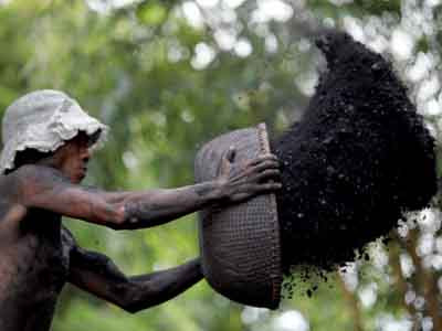 Cận cảnh phu than. Cận cảnh phu than