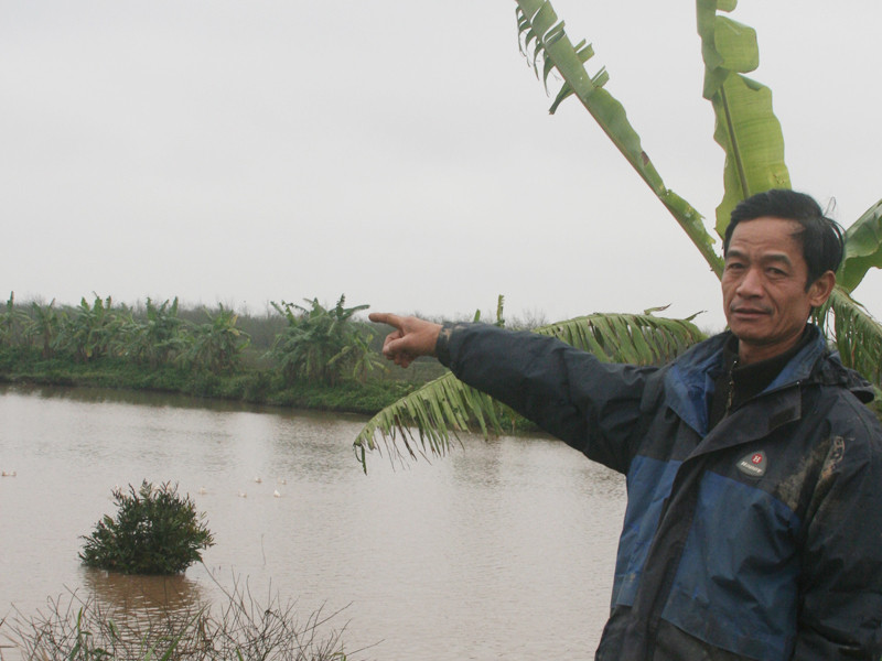Ông Phao giới thiệu đầm của gia đình. Ảnh: Phạm Duẩn