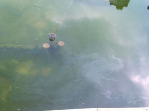 Những sợi dây điện bị hở là nguyên nhân dẫn đến cái chết của Ming. 