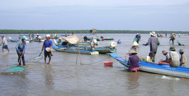 Nhiều người dân cào nghêu ở bãi biển Đất Mũi cho rằng, hình thức HTX nuôi nghêu chỉ làm lợi cho người giàu 