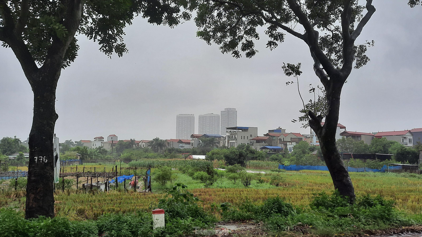 Theo ông Nguyễn Văn Đính, BĐS chỉ tạo ra giá trị thật khi có đầu tư thật, có ở thực nên các vùng quy hoạch phải được đầu tư về hệ thống đường xá, kỹ thuật, hạ tầng về văn hóa – xã hội, dịch vụ, thương mại, thể thao, vui chơi – giải trí,… thì giá trị BĐS ở các vùng này mới được phát triển, mới có yếu tố tăng giá.