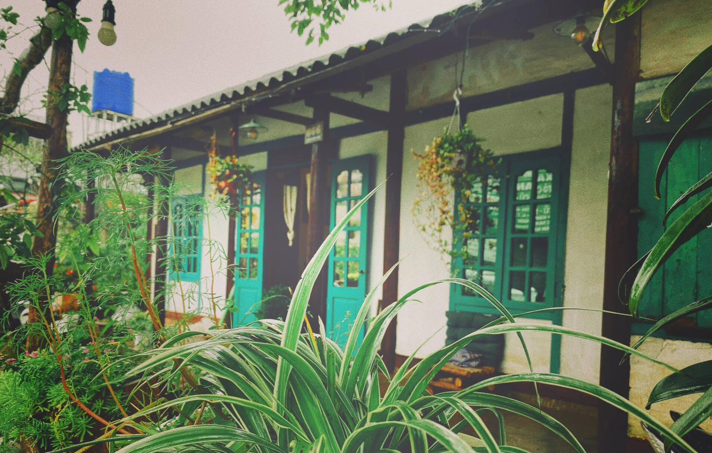 Sau khi cải tạo, ngôi nhà có 2 phòng ngủ, một bếp, một phòng khách, một gác xép, một sân để làm tiệc nướng và một khu uống cafe ngoài trời.