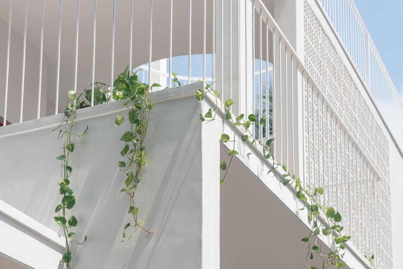 Khoảng không gian thông tầng kết thúc bằng giếng trời ở tầng sân thượng.