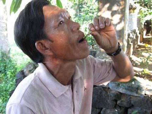 Ông Ngô Văn Tùy đang ăn côn trùng sống
