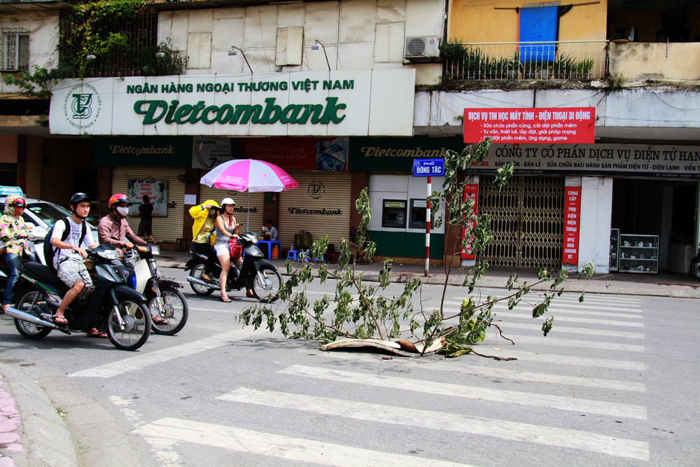 Một hố ga mất nắp được cắm cành cây cảnh báo gần Ngã tư Chùa Bộc - Phạm Ngọc Thạch. Ảnh: Trường Phong