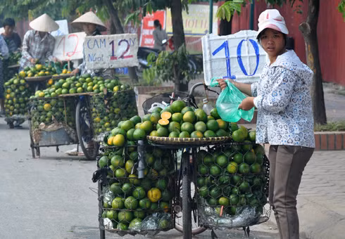 Nhưng giá không quá 15.000 đồng một kg