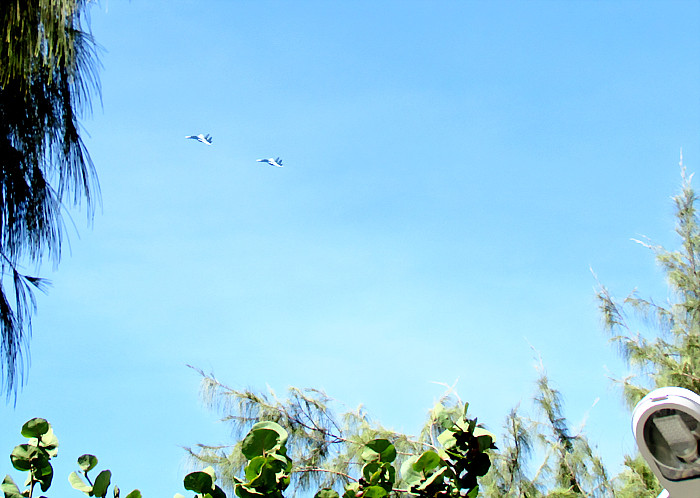 Hai chiếc máy bay SU30 của Không quân Nhân dân Việt Nam xuất hiện trên bầu trời đảo Song Tử Tây, xã Song Tử Tây (Trường Sa, Khánh Hòa)