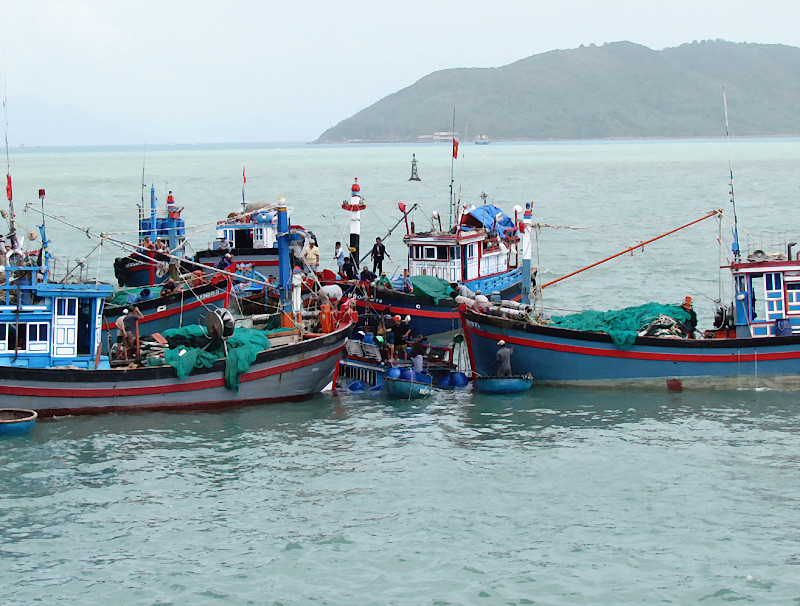 Nhiều tàu ngư dân tham gia trục vớt