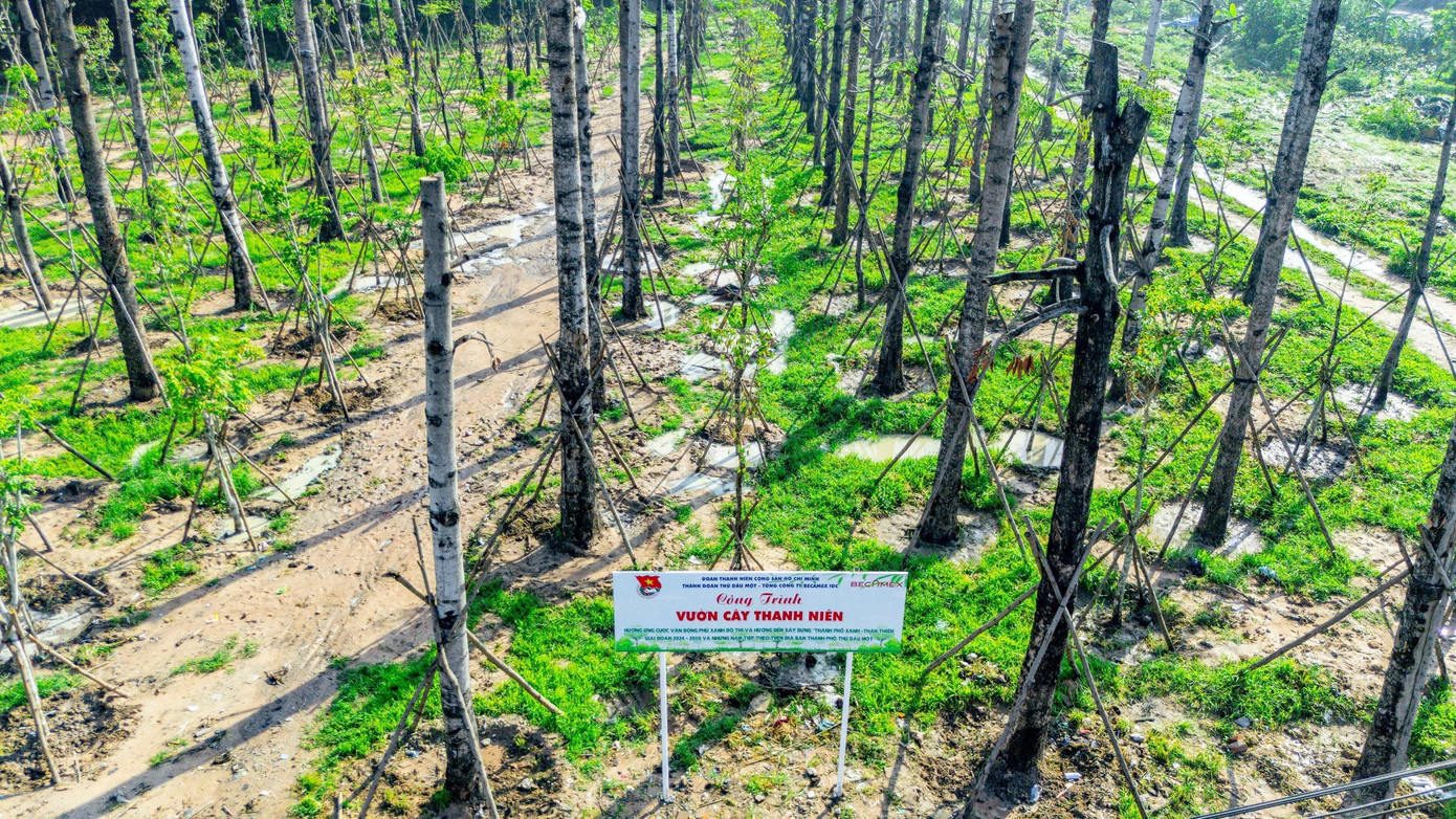 Trong những năm qua, tuổi trẻ thành phố Thủ Dầu Một đã và đang tích cực cùng các ngành, đoàn thể thực hiện cuộc vận động xây dựng Nếp sống văn hóa - Văn minh đô thị với mục tiêu nâng cao nhận thức, trách nhiệm của đoàn viên, hội viên, thanh thiếu nhi trong xây dựng đô thị Thủ Dầu Một “Văn minh - Giàu - Đẹp - Hiện đại”, xây dựng thành phố “Xanh - Sạch - Đẹp - An toàn”, thành phố không rác.