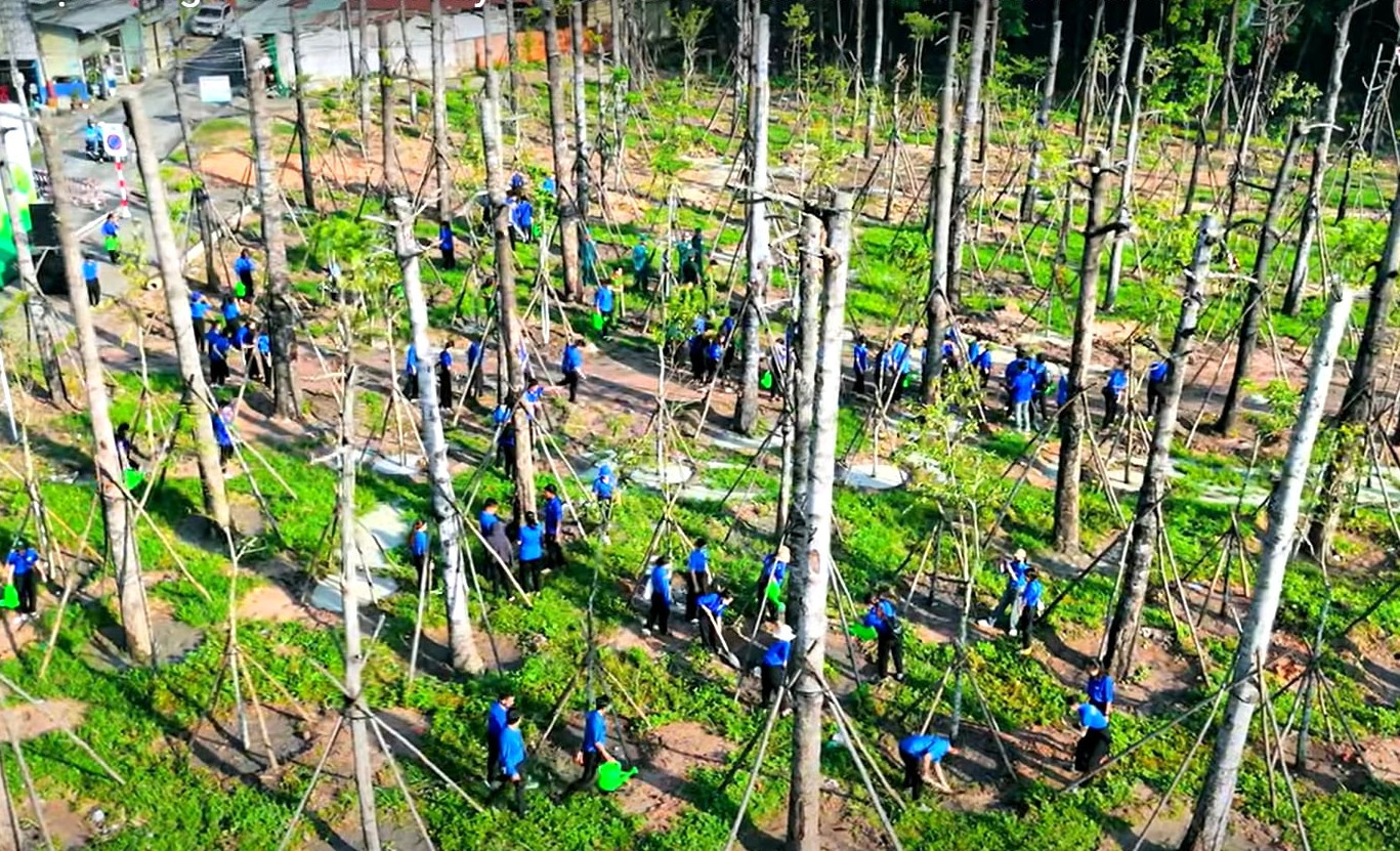 Công trình “Vườn cây thanh niên” được thực hiện tại khu đất công rộng hơn 2.000 m2 ở đường DX95 (khu phố 7, phường Hiệp An); khu đất bên đường liên khu Chánh Lộc 4 và Chánh Lộc 6 (phường Chánh Mỹ) và khu đất CX11, CX13 (khu tái định cư Hòa Lợi, phường Hòa Phú) diện tích gần 6.000 m2.