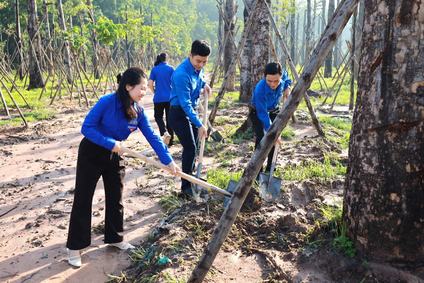 “Thành Đoàn thực hiện công trình “Vườn cây thanh niên”, đồng thời kêu gọi các cơ quan, đơn vị, doanh nghiệp, trường học và cán bộ Đoàn, đoàn viên thanh niên, học sinh thành phố hãy giữ gìn, chăm sóc cây đã có, tổ chức trồng cây xanh trong khuôn viên cơ quan, đơn vị, xung quanh nhà ở, các tuyến đường để tăng độ che phủ cho thành phố thêm xanh, sạch, đẹp, cải tạo môi trường sinh thái và giảm nhẹ tác động của biến đổi khí hậu với khẩu hiệu “Mỗi thanh thiếu nhi 1 cây xanh, mỗi nhà góp 1 mảng xanh” – Bí thư Thành Đoàn Thủ Dầu Một cho hay.