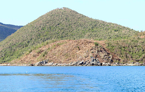 Sốt đất ở các 'đặc khu': 'Hòn lửa' trên tay người cuối sẽ vỡ? ảnh 3