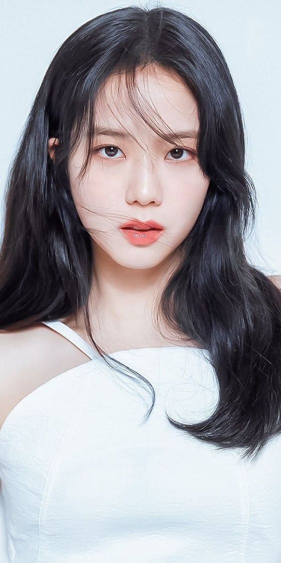 Trước khi khởi động với những dự án âm nhạc, thành viên BlackPink xuất sắc ghi dấu ấn lớn trong giới thời trang. Cô trở thành đại sứ toàn cầu của thương hiệu Dior dòng thời trang và mỹ phẩm, đại sứ thương hiệu hãng trang sức Cartier.