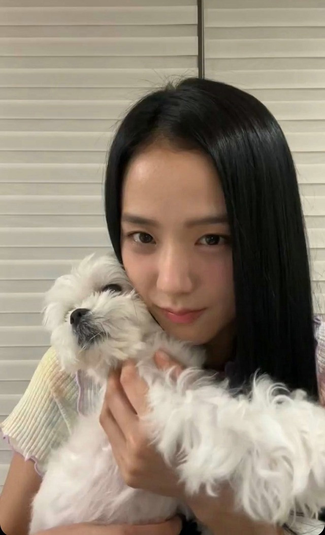 Jisoo mở livestream trò chuyện cùng fan. Cô tiết lộ mình háo hức đón kỷ niệm 8 năm vì nhóm ra mắt ngày 8/8. Chia sẻ của chị cả BlackPink khiến người hâm mộ vui mừng vì cho rằng cô đang ngầm nói đến chuyện bốn thành viên tiếp tục ra hạn hợp đồng với YG. Ngày 8/8 là ngày kết thúc hợp đồng của BlackPink sau 7 năm gắn bó. Trước đó, nhiều phương tiện truyền thông nước ngoài đưa tin BlackPink sẽ “tan đàn xẻ nghé” vì các thành viên đều có định hướng riêng.