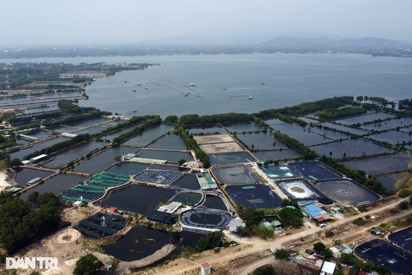 Khu vực đầm Thủy Triều là "nguồn sống" của nhiều người dân Cam Lâm với nghề nuôi trồng thủy, hải sản. Khu vực đầm Thủy Triều là "nguồn sống" của nhiều người dân Cam Lâm với nghề nuôi trồng thủy, hải sản.